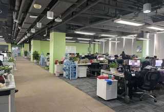 南关区夏堇花销售