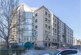 山东氨基寡糖素能加芸苔素吗